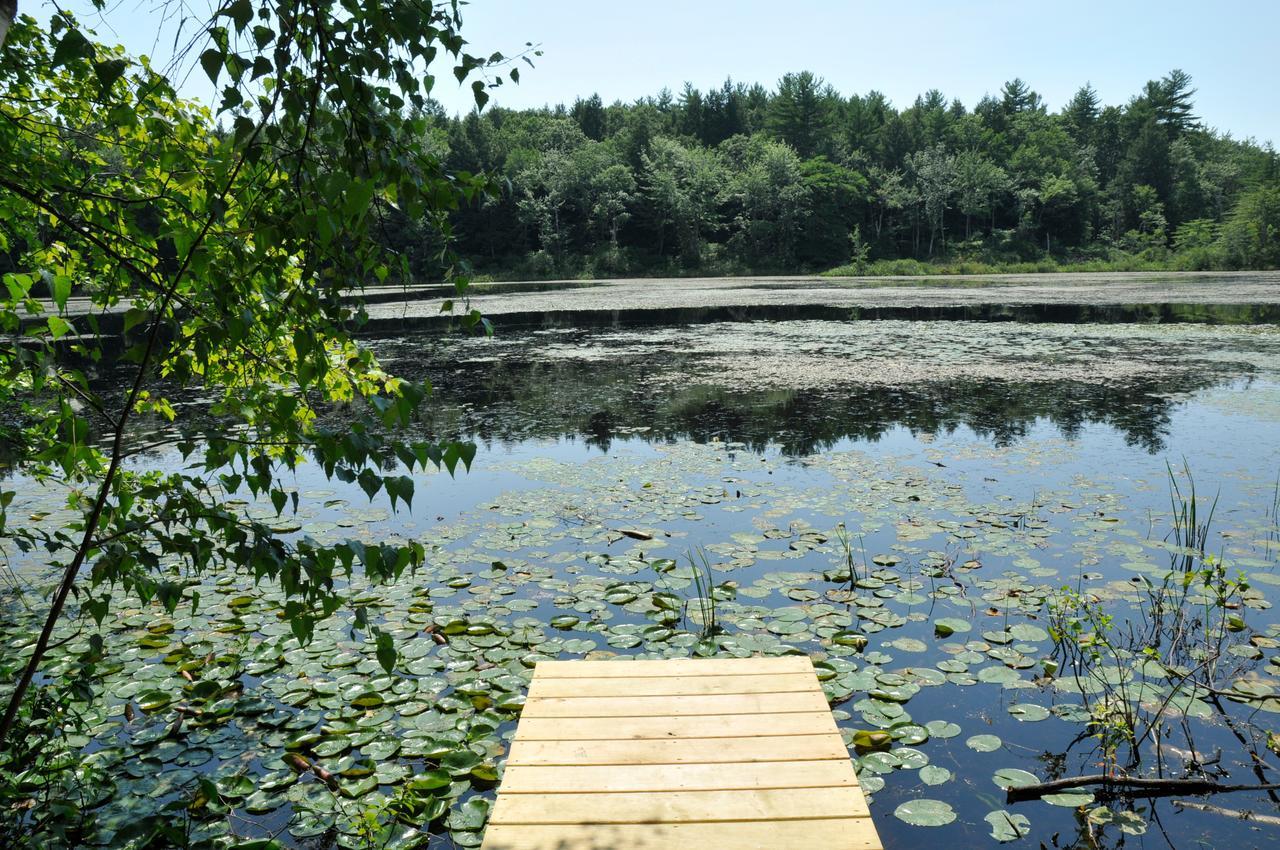 Tuxbury Pond Camping Resort Tiny House Murphy South Hampton Eksteriør bilde